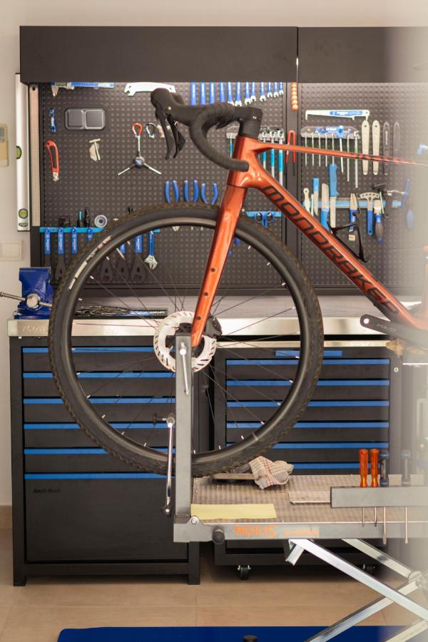 Alquiler de bicicletas y vía verde
